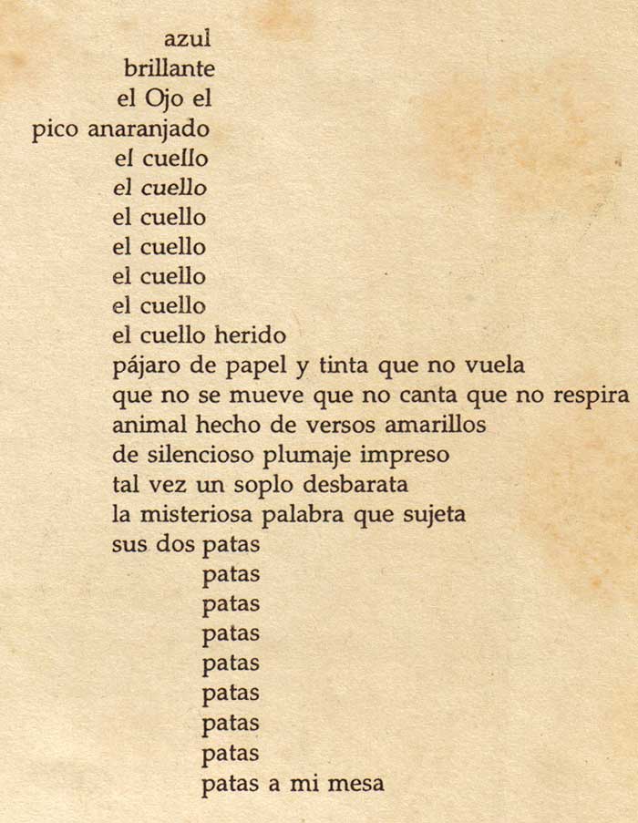 Poesia en forma de pájaro poesiaPajaro